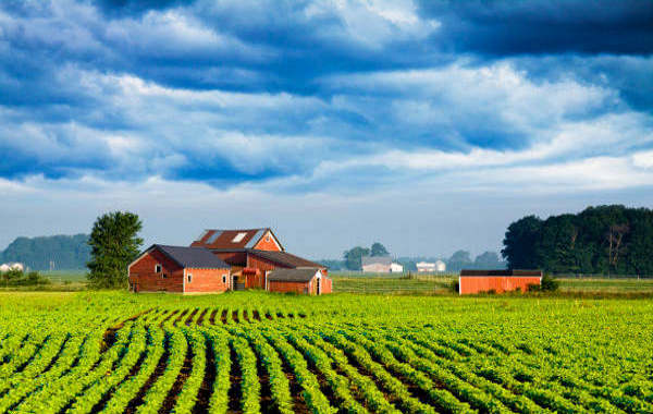 Terreno agricolo